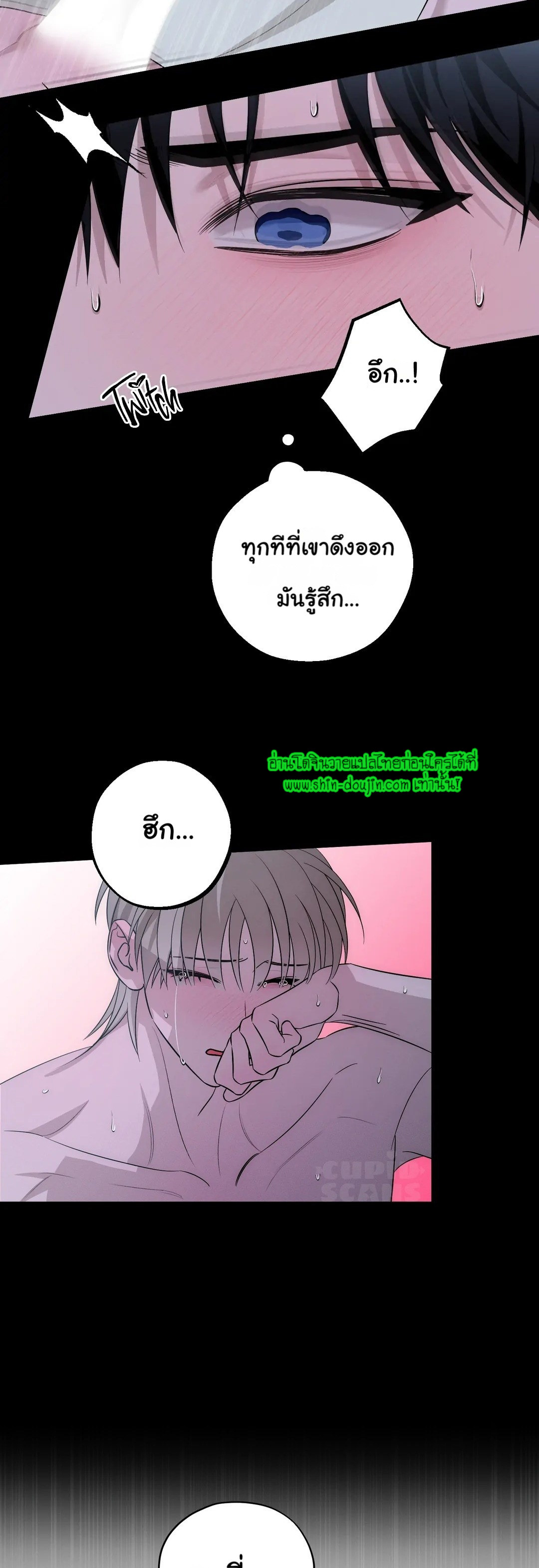 Counter Crush EP 1